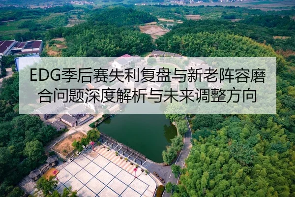 EDG季后赛失利复盘与新老阵容磨合问题深度解析与未来调整方向