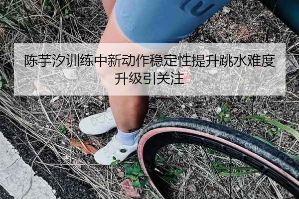 陈芋汐训练中新动作稳定性提升跳水难度升级引关注